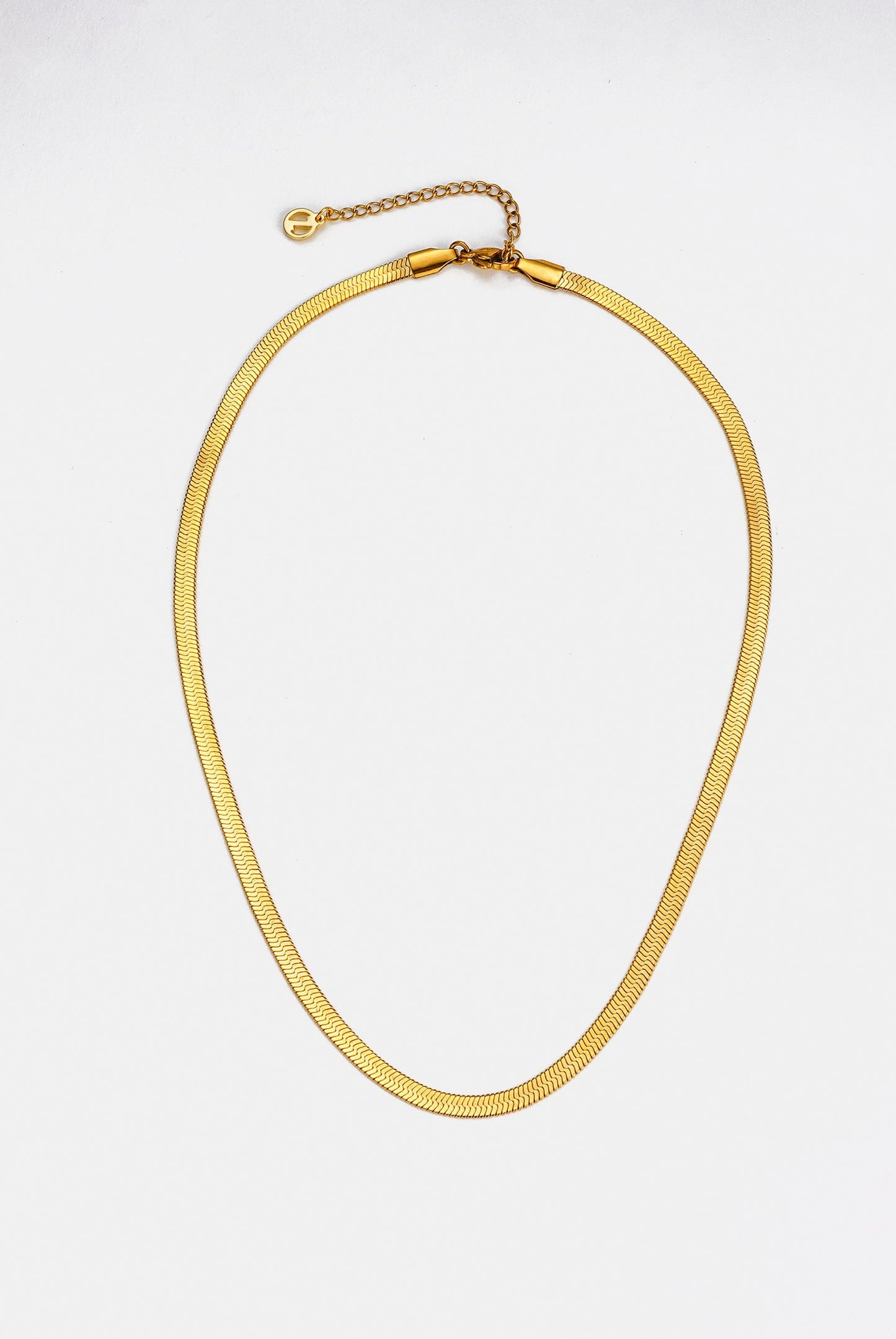 Snake Chain Necklace